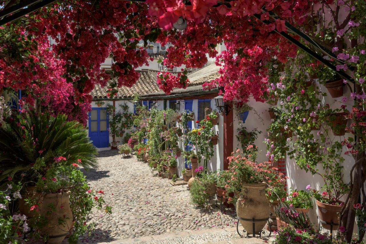 Casa Luz Cordoba Διαμέρισμα Εξωτερικό φωτογραφία